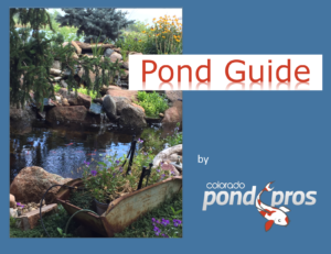 guide for you outdoor water features