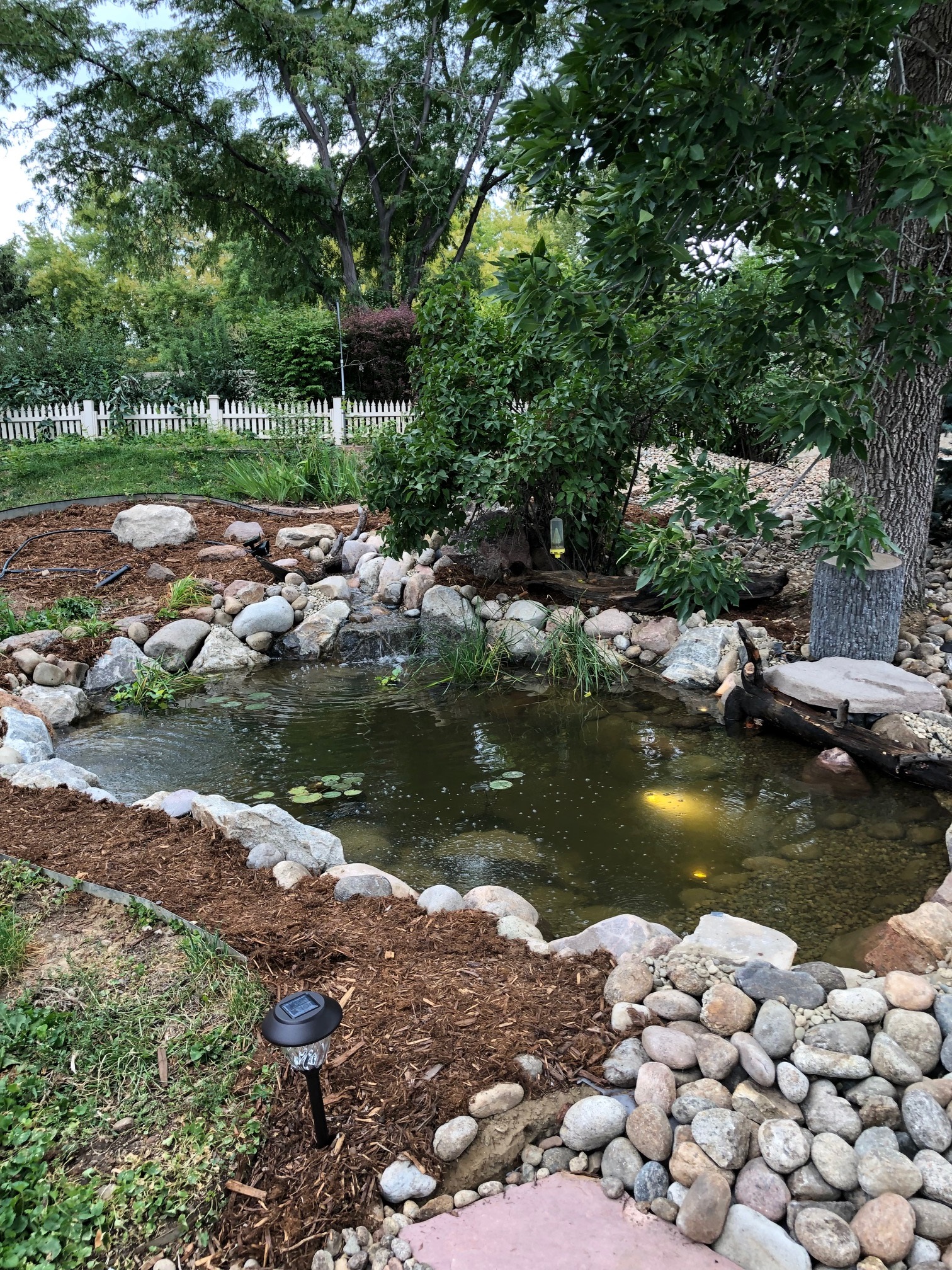koi pond backyard water feature