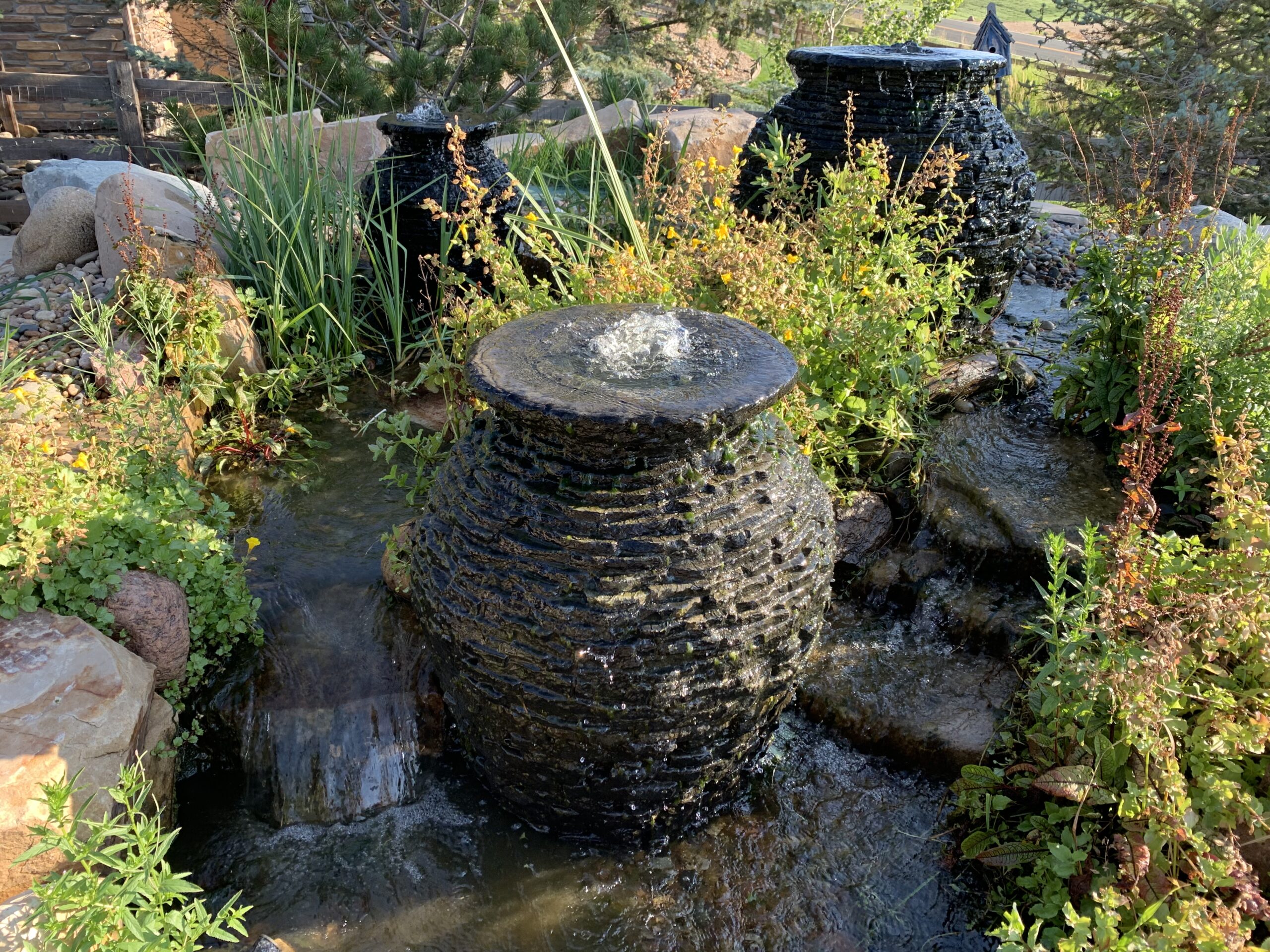 wetland with urns