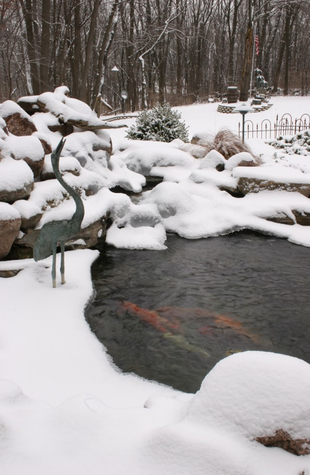 winterizing koi pond