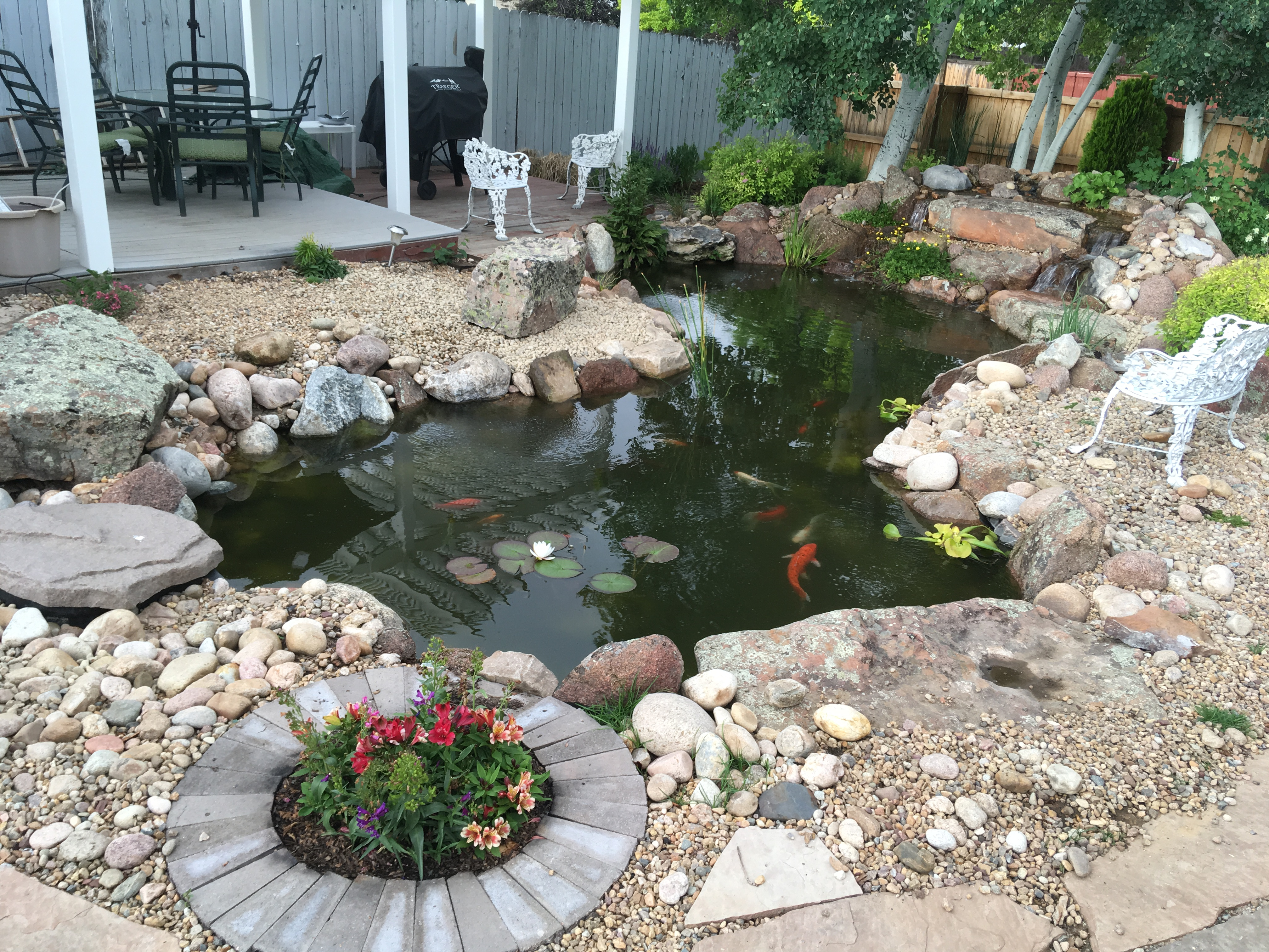 Add a Sitting Rock and explore the Pond!