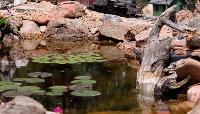 Lily pads in outdoor water features