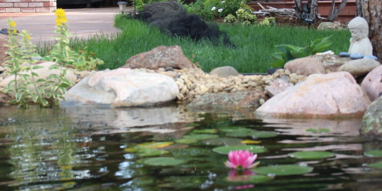 Meditation pond