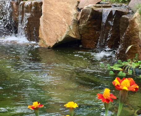Swim pond Waterfalls & Flowers