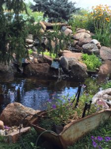 Natural pond - landscape company to build your pond