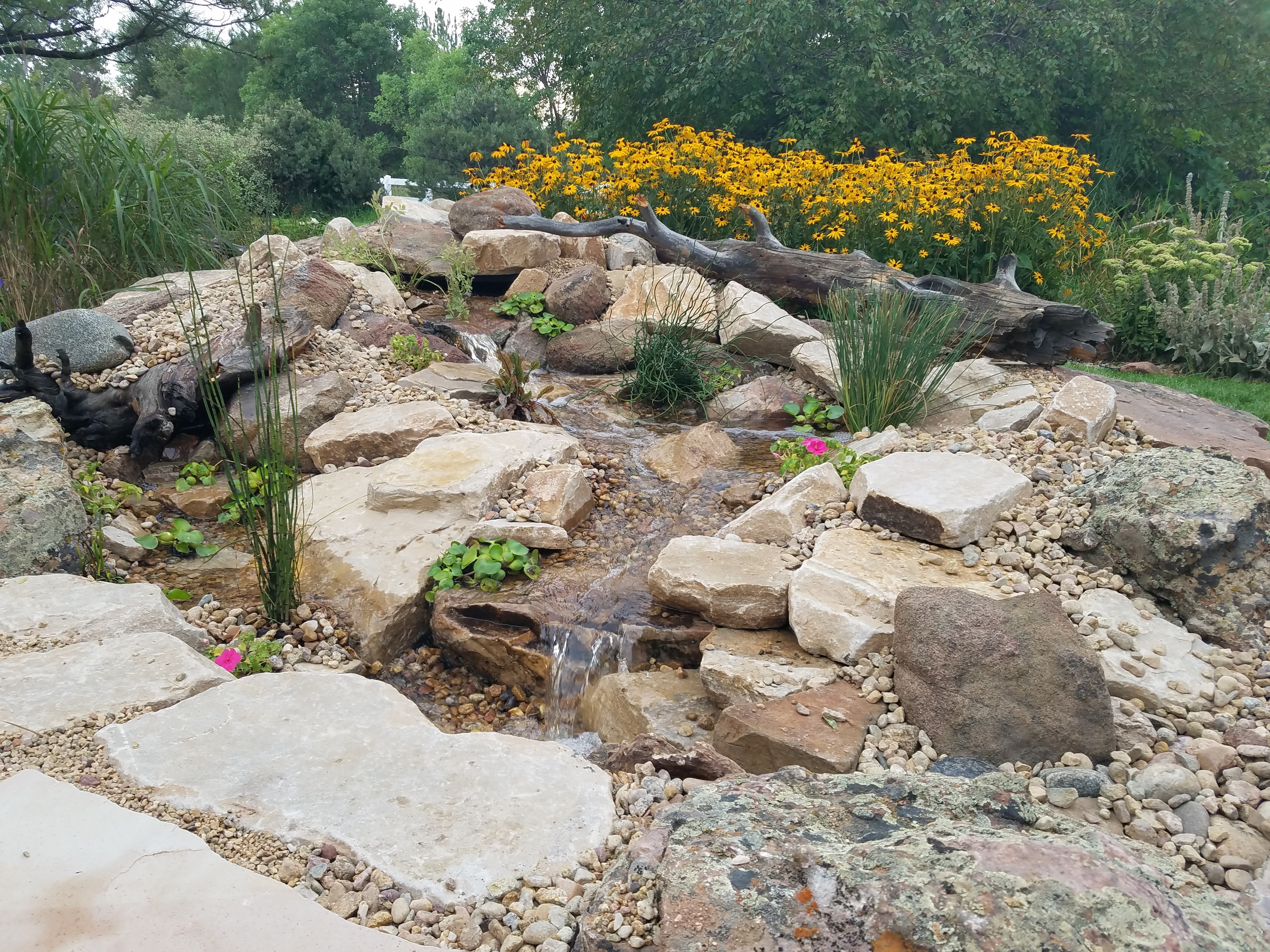 Colorado Pond Pros Pondless Waterfall