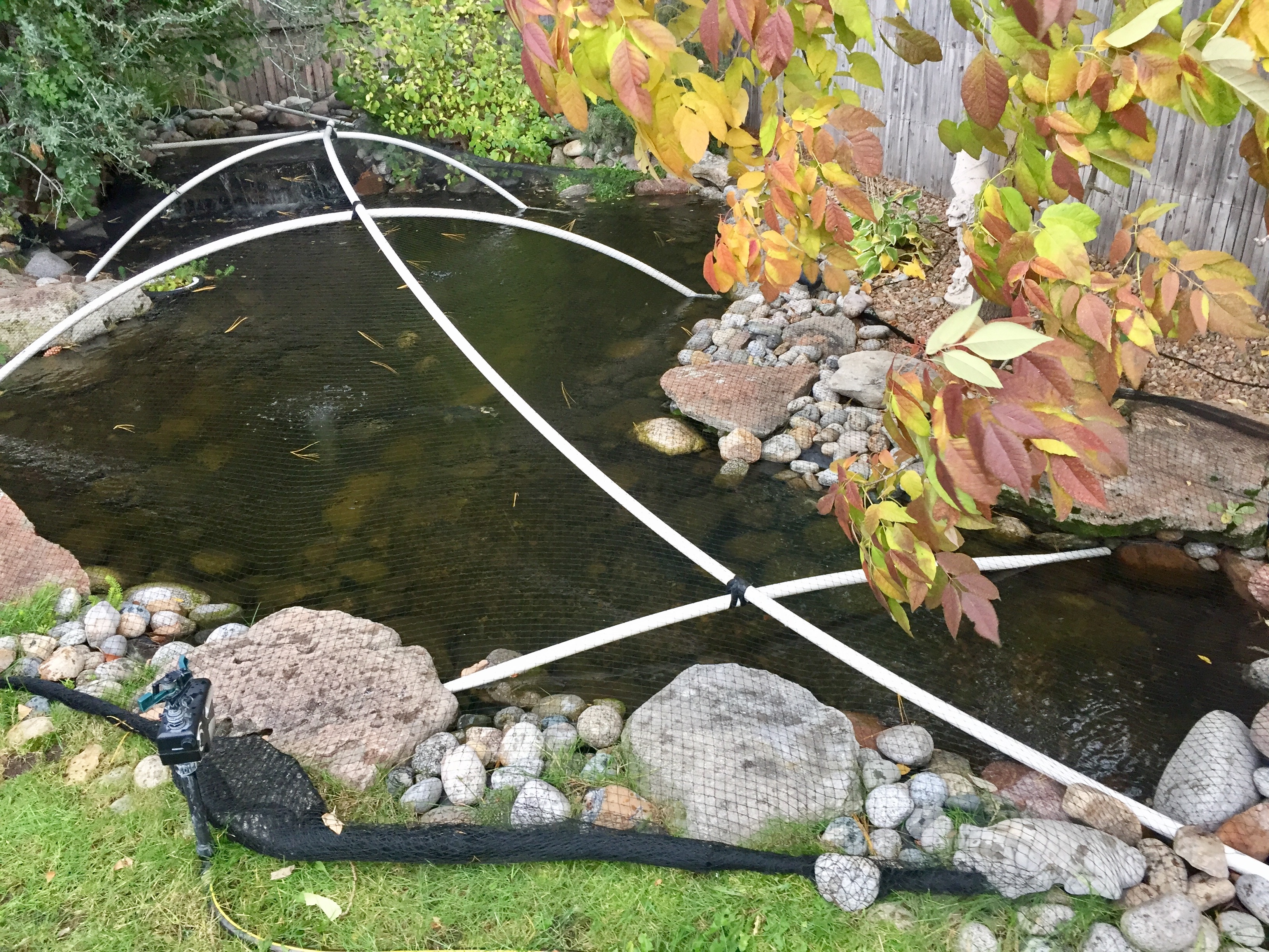 Net your Pond for Fall