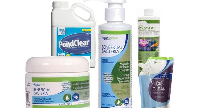 Ponds and beneficial bacteria