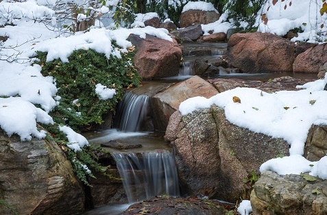 koi pond backyard water feature