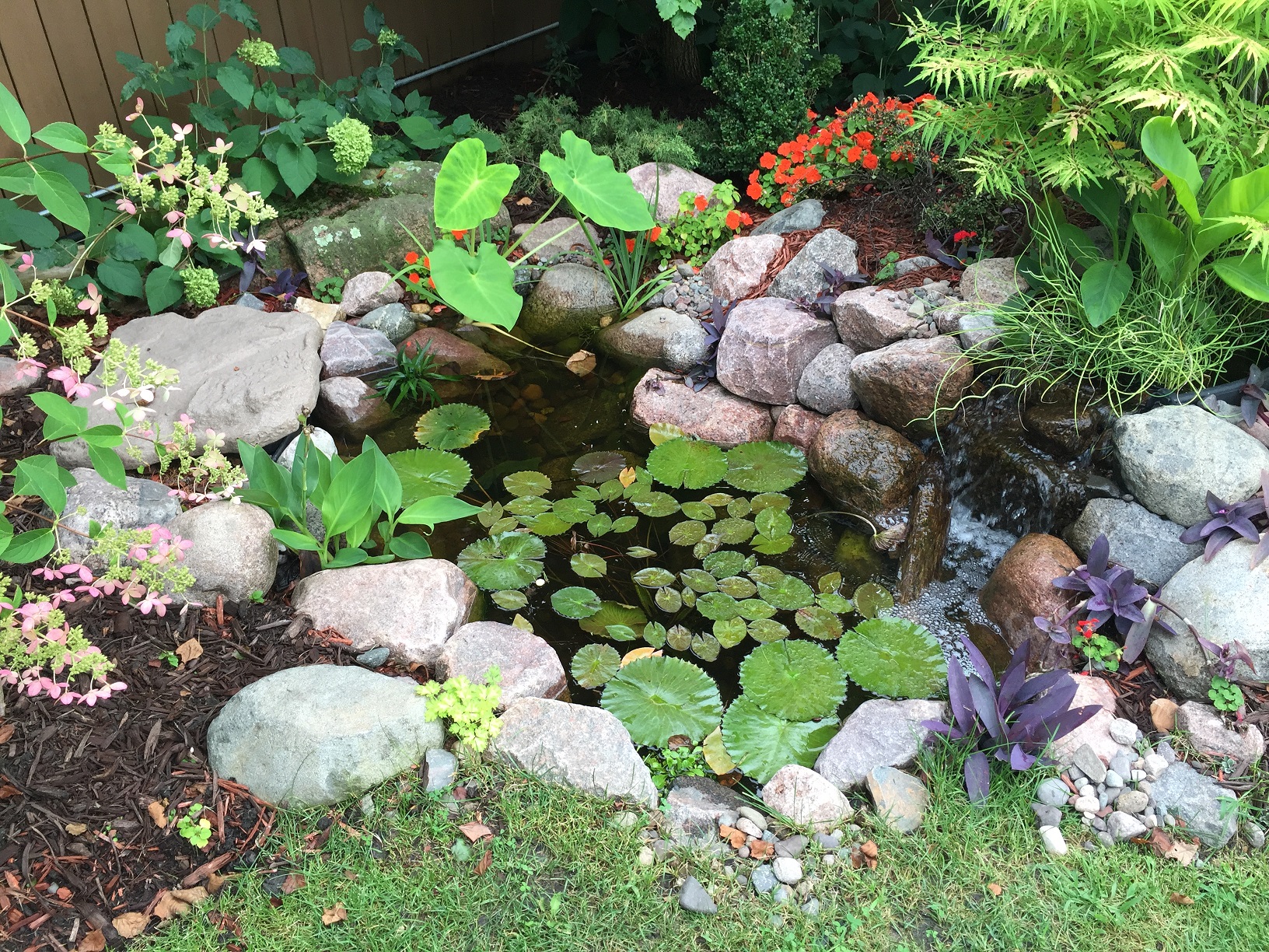 Moved to a house with a pond?