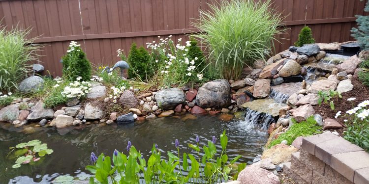 koi pond backyard water feature