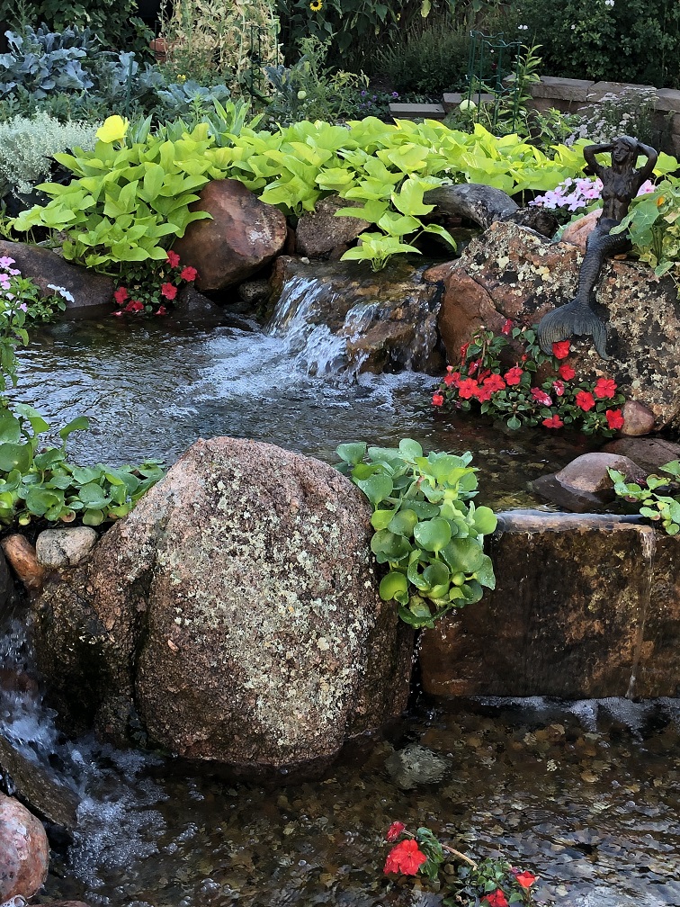 koi pond backyard water feature