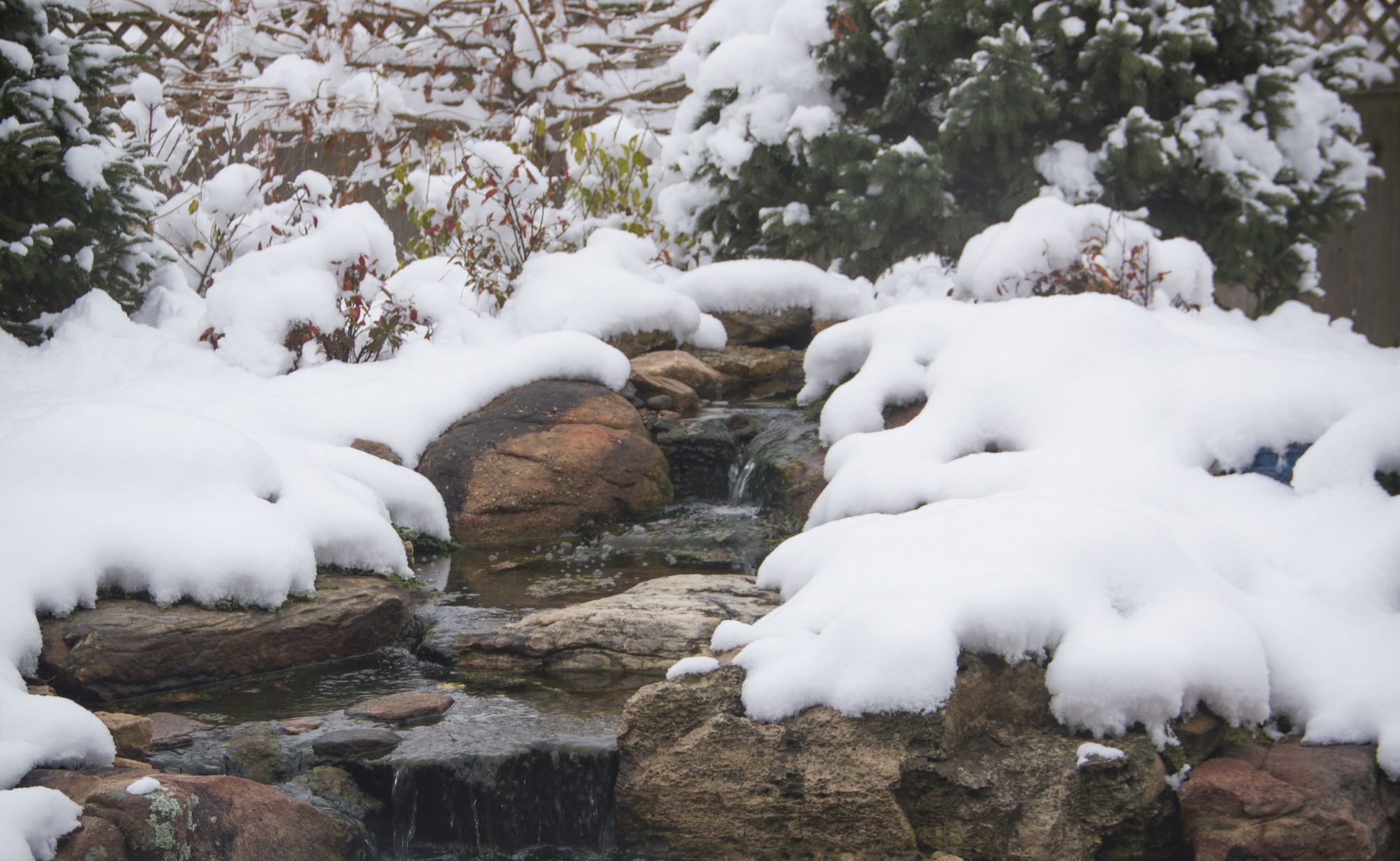 winter pond koi pond backyard water feature