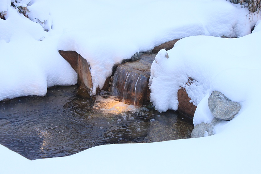 winter pond care