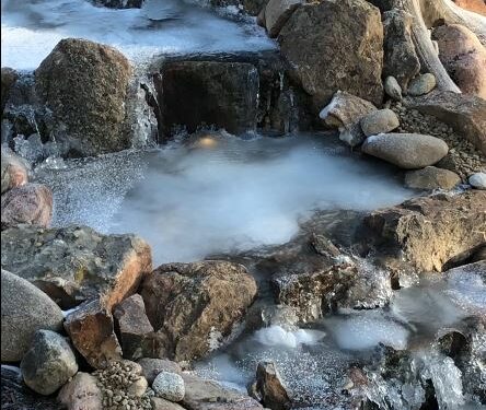 koi pond backyard water feature