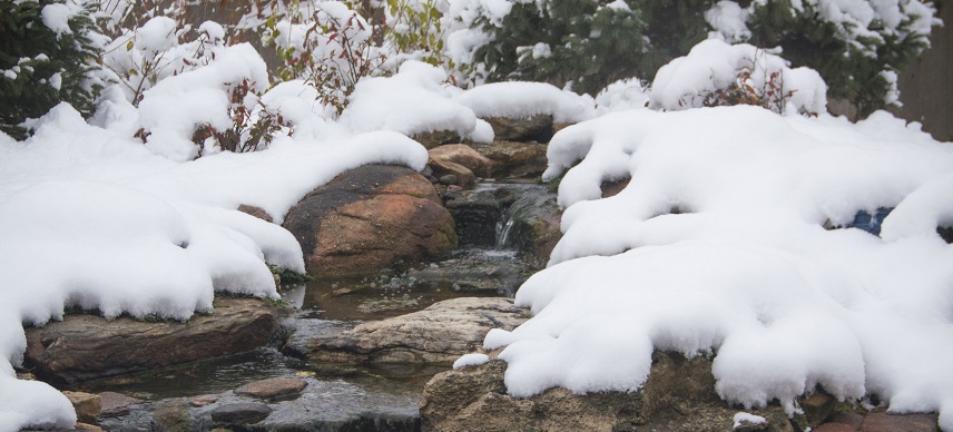 Winter Pond Choices Must be Made