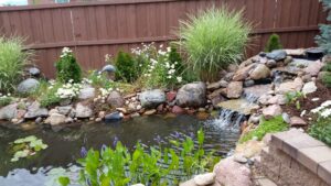 backyard water feature