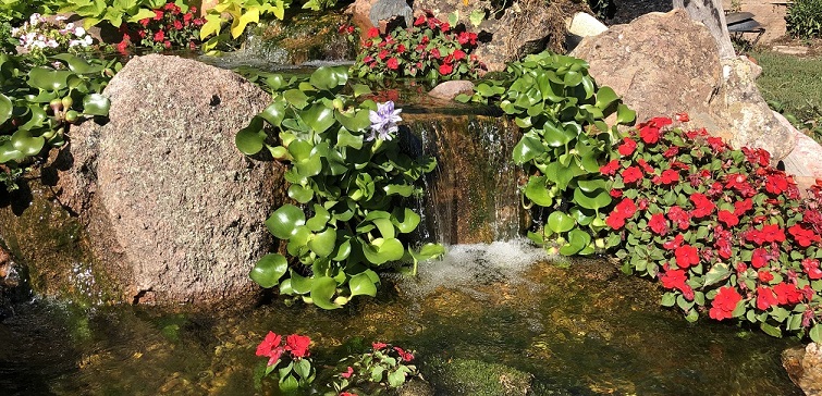 Softening in outdoor water features