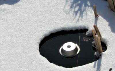 De-icer or heater in your backyard pond?