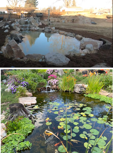 Pond installation and landscaping before and after from Colorado Pond Pros.