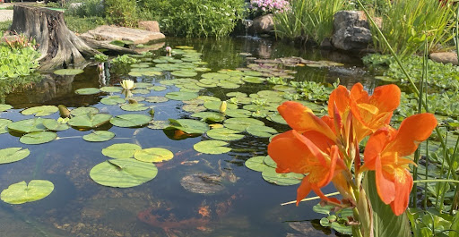 How does Colorado Pond Pros handle bottom drains?