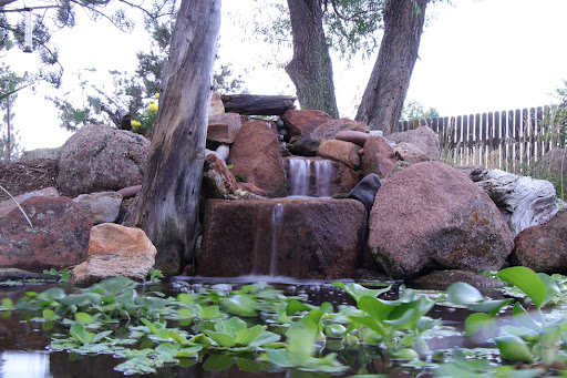 Backyard Pond Installation & Service