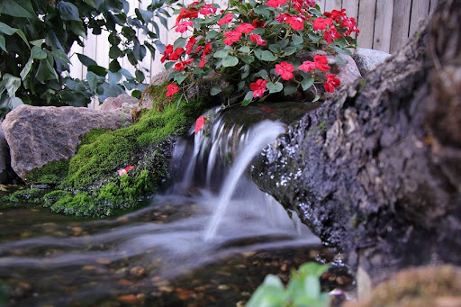 Backyard Pond Waterfall Service