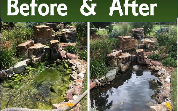 Denver Before and After Pond Repair Maintenance Cleanout Service