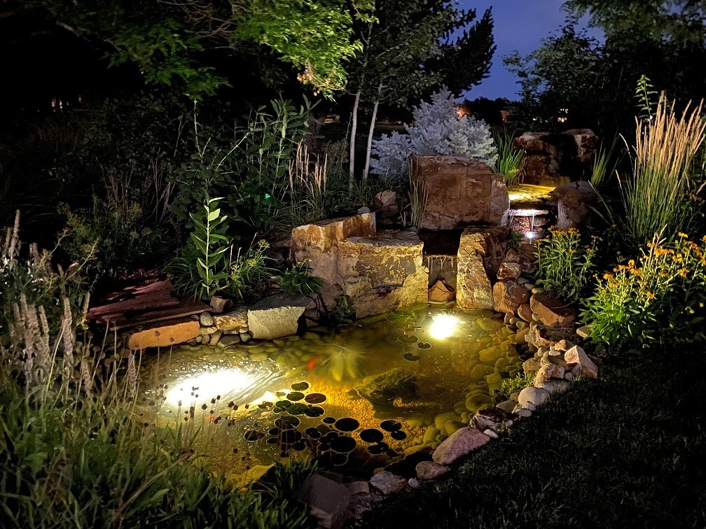 backyard water feature