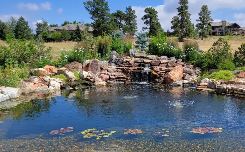 Backyard swim pond in Colorado.