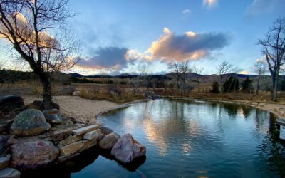 12 Benefits of a Natural Swim Pond