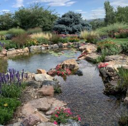 Ponds and Responsible water usage