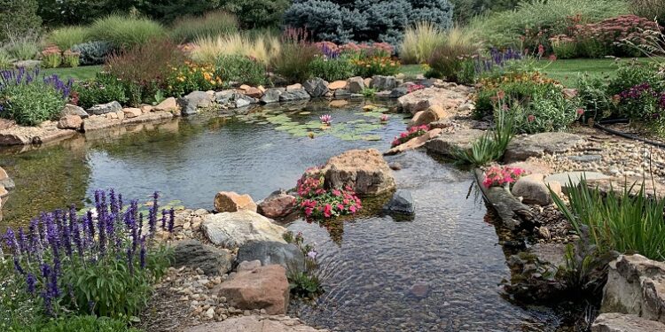 Ponds and Responsible water usage