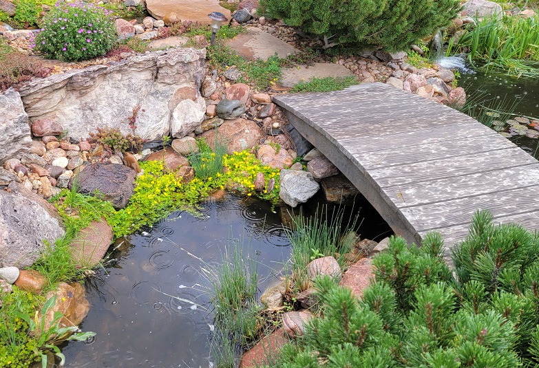 Pond with bridge