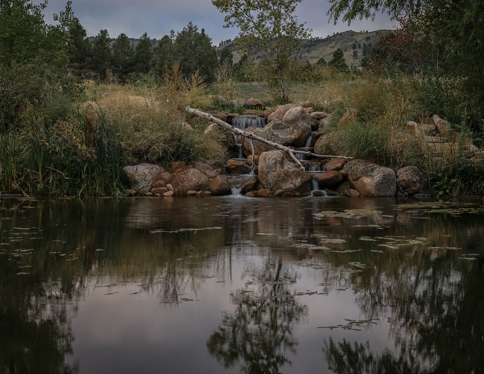 Pond Construction Cost