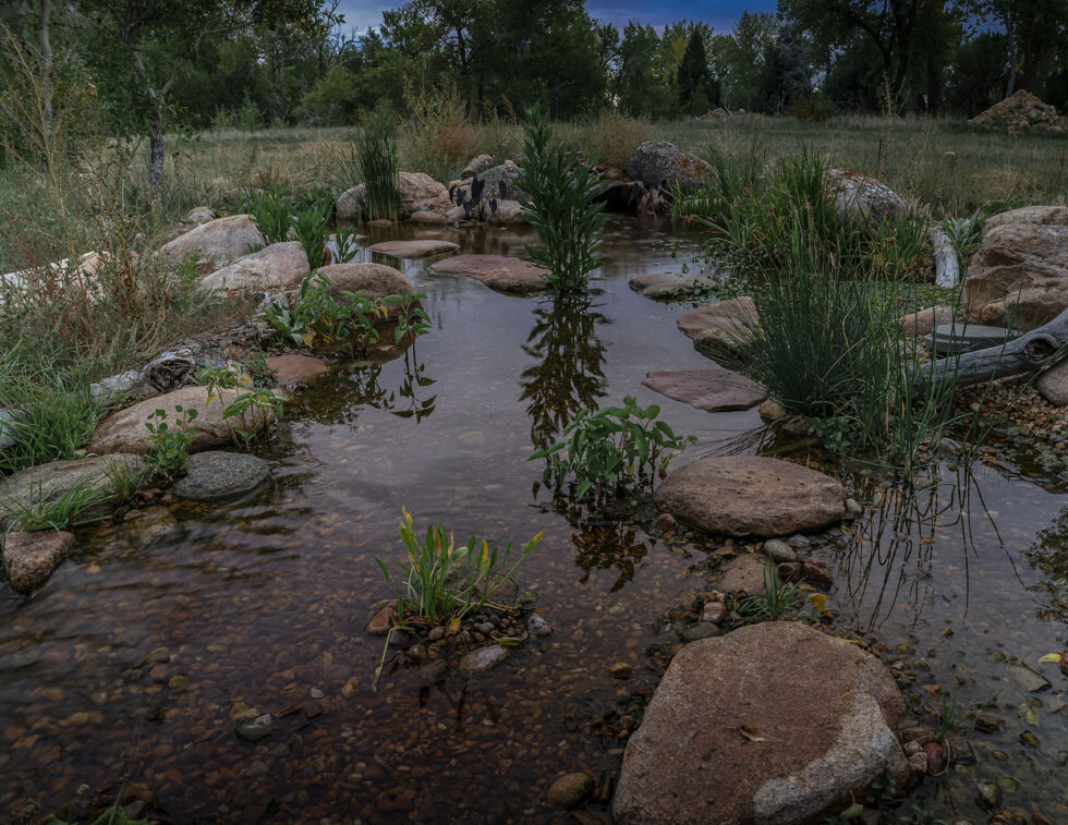 Recreation Ponds Gallery | Colorado Pond Pros