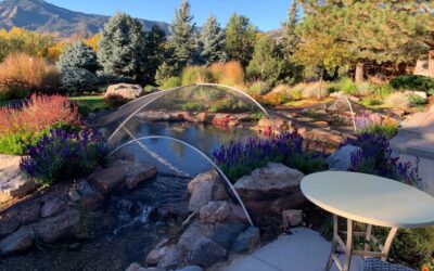 3 Benefits of Pond Netting Before Winter Arrives