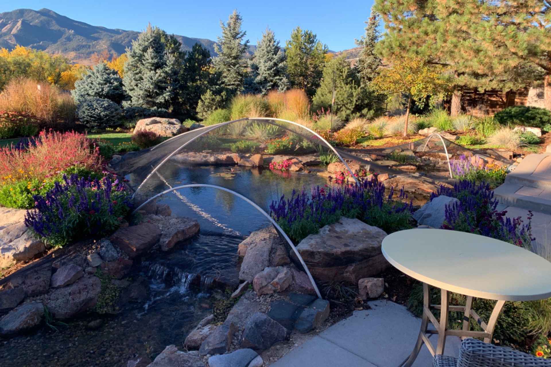 Beautiful garden landscape with fall foliage and evergreen trees, illustrating a well-maintained backyard, relevant to pond preparation before winter.