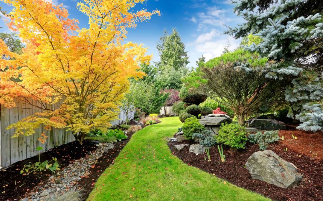 4 Things to Prepare Your Pond For Fall