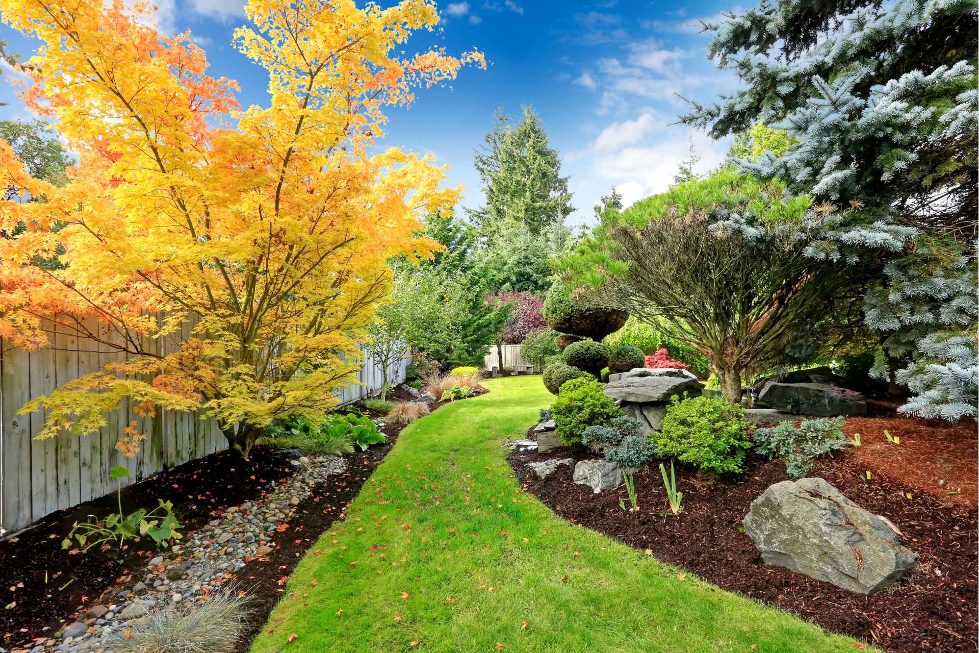 ibrant fall garden landscape with yellow and green trees, rocks, and a well-maintained lawn.